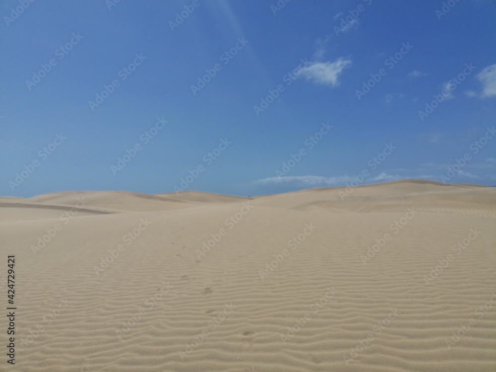 Maspalomas dunes, the desert in Gran Canaria Maspalomas dunes, the desert in Gran Canaria