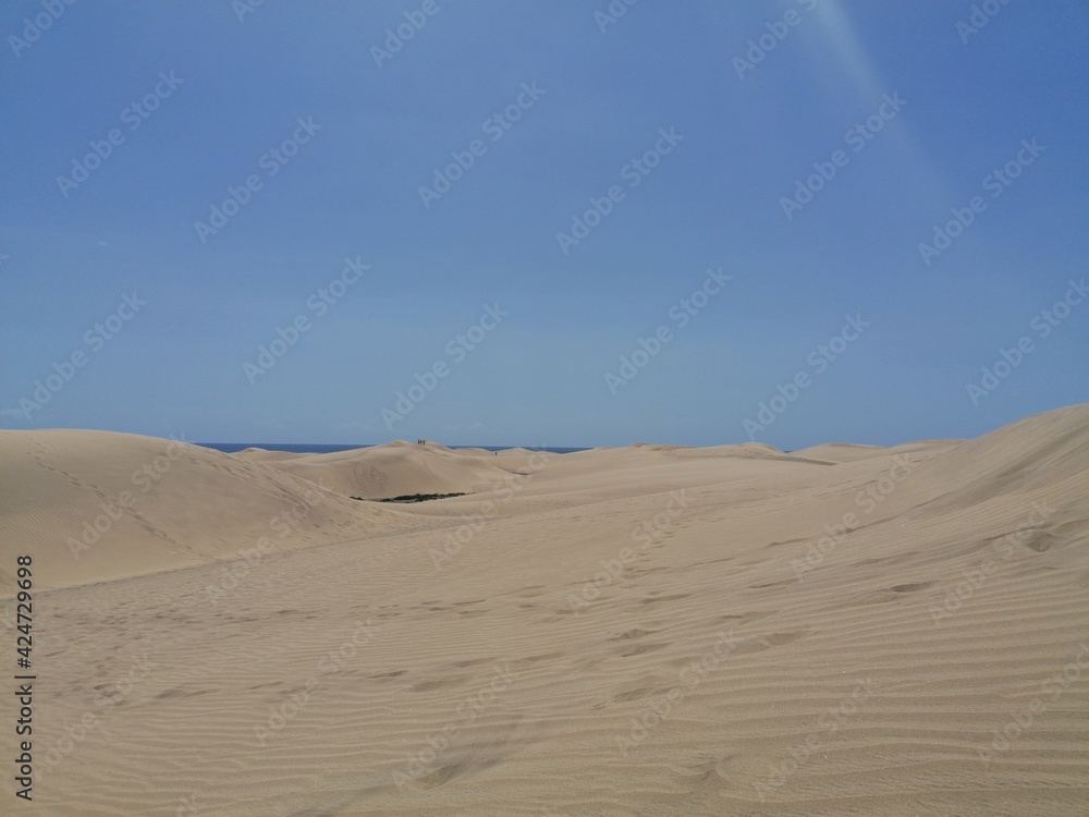 Maspalomas dunes, the desert in Gran Canaria Maspalomas dunes, the desert in Gran Canaria