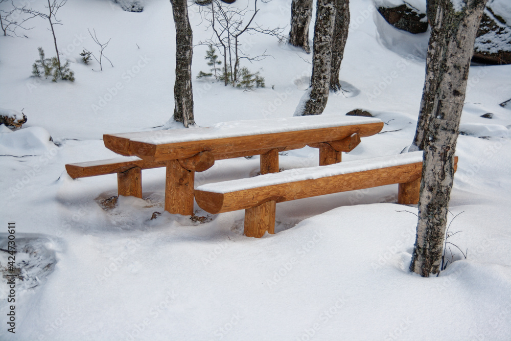 Table and benches made of sawn logs. Table and benches made of sawn logs.
