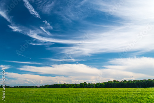 green field and blue sky