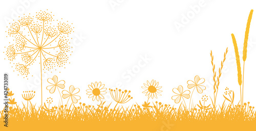 Blumenwiese Sommerblumen gelb, Blumenwiese mit Gräsern und Blumen im Sommer, abstrakt, Vektor
