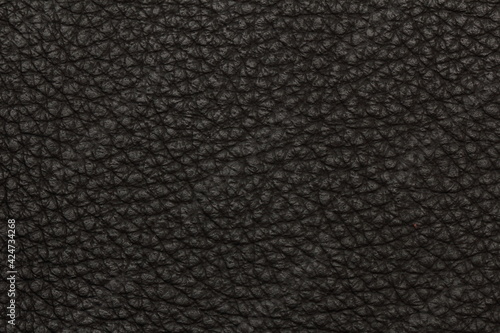 Wallpaper Mural black leather texture background Torontodigital.ca
