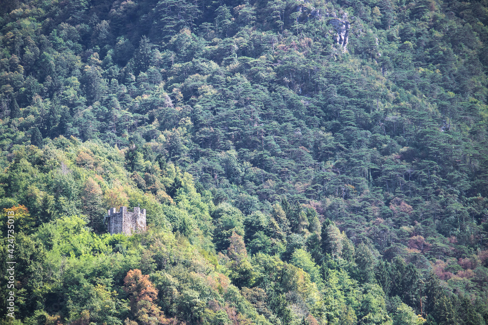 Ancient tower with forest on the background. The building is in Tolmezzo a town and comune in the province of Udine, Italy (focus on the sobject)
