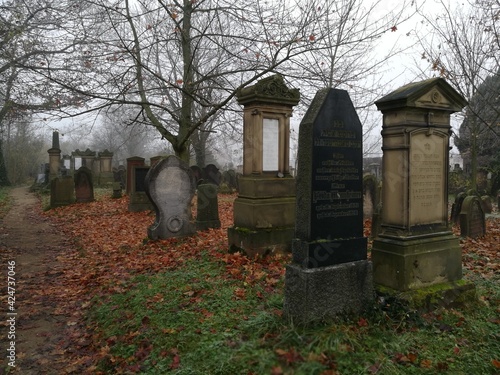 The Jewish Cemetery "Heiliger Sand" in Worms (Germany) © Aneta