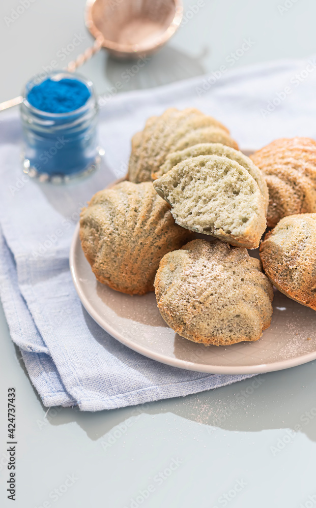 Freshly Baked french madeleine cookies. Homemade traditional French small cookie. Freshly Baked french madeleine cookies. Homemade traditional French small cookie.