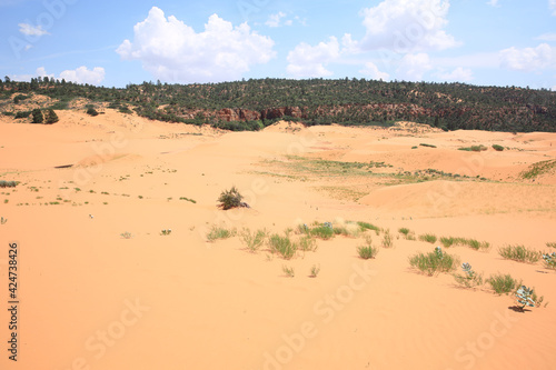 Coral Pink Sand Dunes State Park in Utah, USA