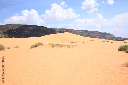 Coral Pink Sand Dunes State Park in Utah, USA