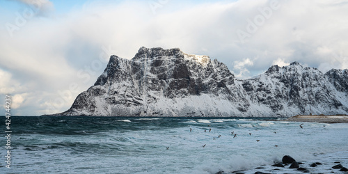 iceberg in polar regions