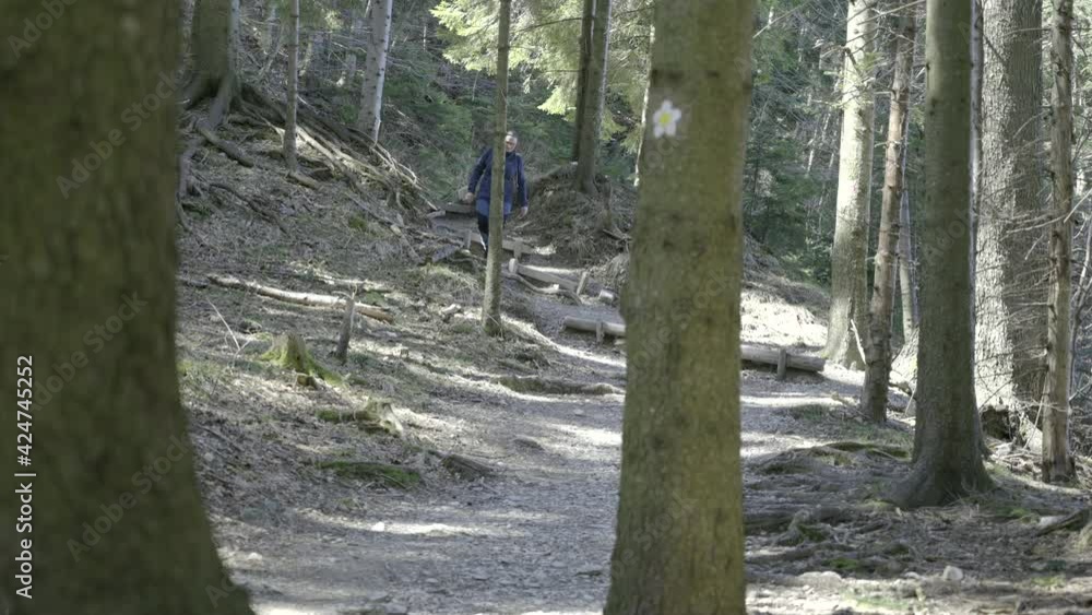 Wide locked down shot of a woman hiking in the forest walking down a sunny forest path. Wide locked down shot of a woman hiking in the forest walking down a sunny forest path.