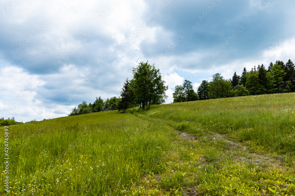 Long mountain trail with beautiful landscape in Rudawy Janowickie Long mountain trail with beautiful landscape in Rudawy Janowickie