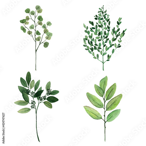 Hand drawn watercolor set of branches with green leaves. Watercolor botanical illustration isolated. Watercolor floral illustration set.