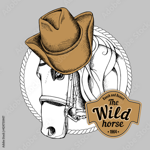 Horse portrait in a cowboy hat. Vector illustration.