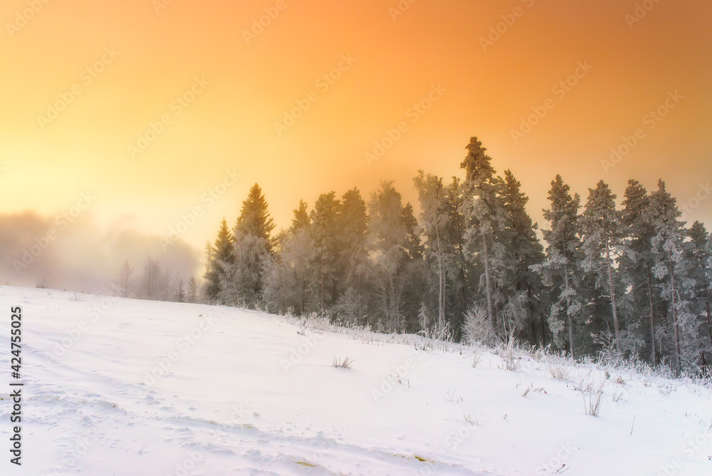 Beautiful winter landscape in the mountains Beautiful winter landscape in the mountains