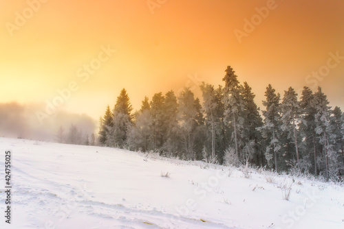 Beautiful winter landscape in the mountains © Yury