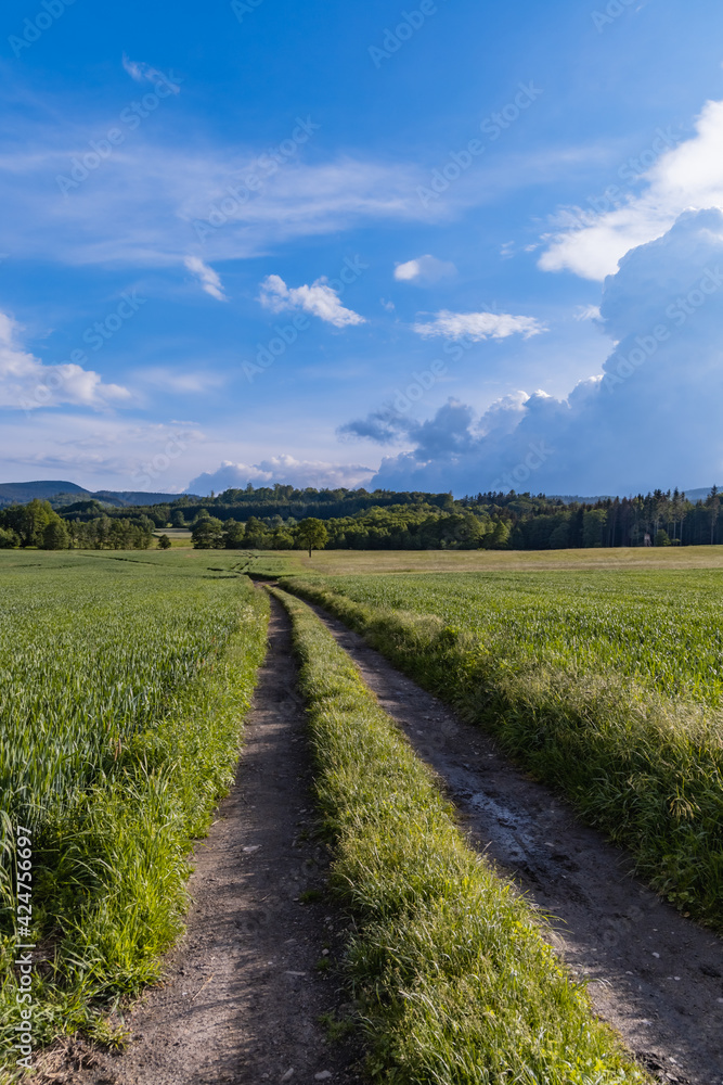 Long mountain trail with beautiful landscape in Rudawy Janowickie