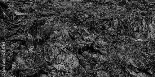 Felsformation als Hintergrundmotiv, schwarzweiß