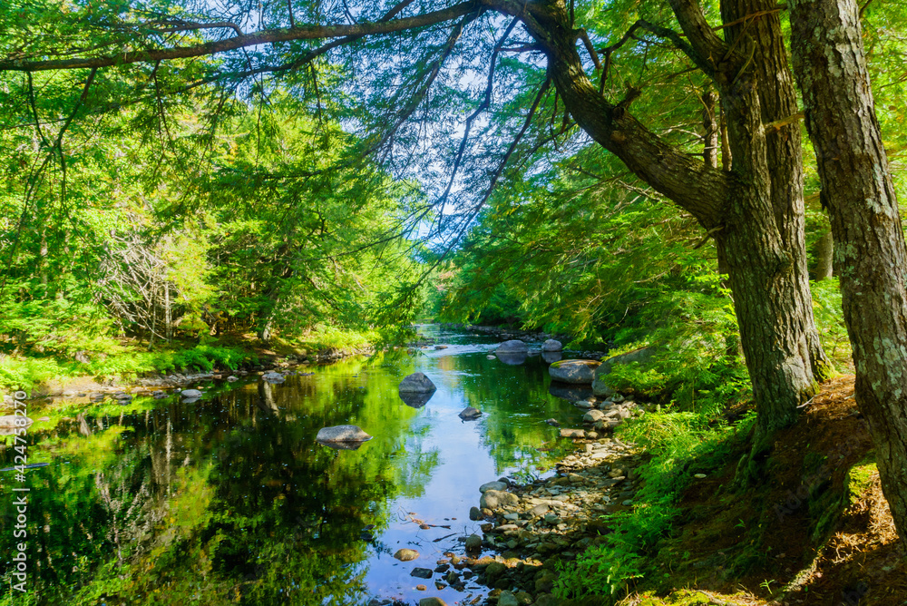 Mersey river, in Kejimkujik National Park