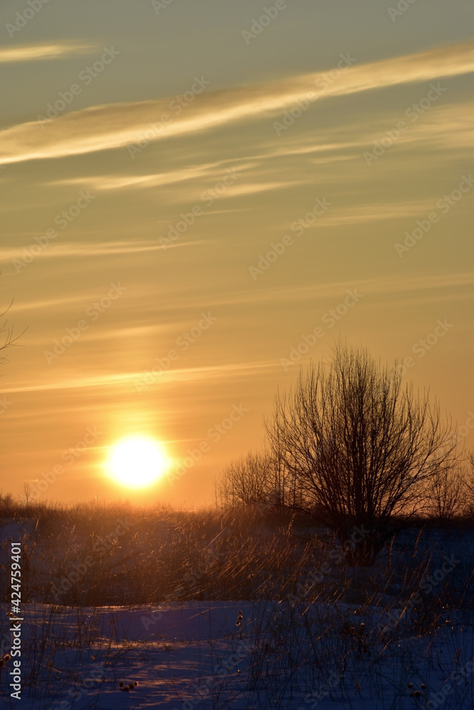 Obraz premium Winter sunset on the endless field