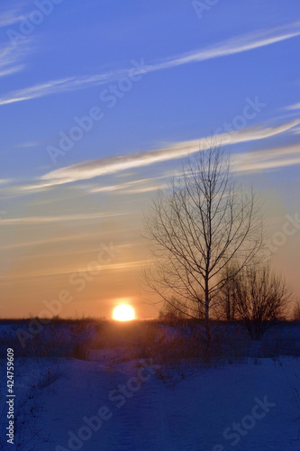 Winter sunset on the endless field © FMVideo