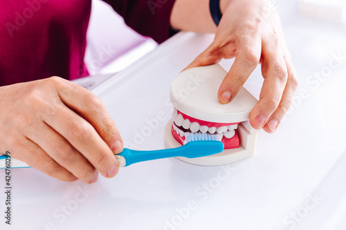 The dentist shows on the model of the jaw how to brush the teeth with a brush