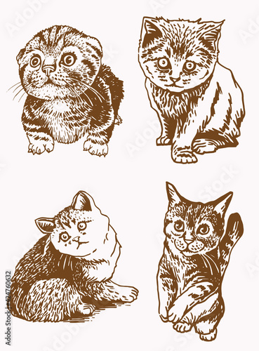 vintage vector set of cats fluffy pet element
