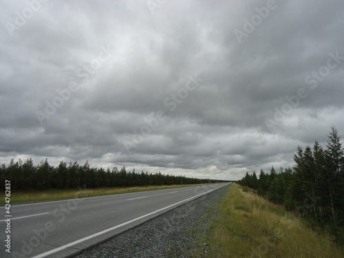 Road near the forest in cloudy weather