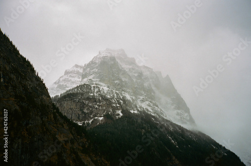 mountain in the fog