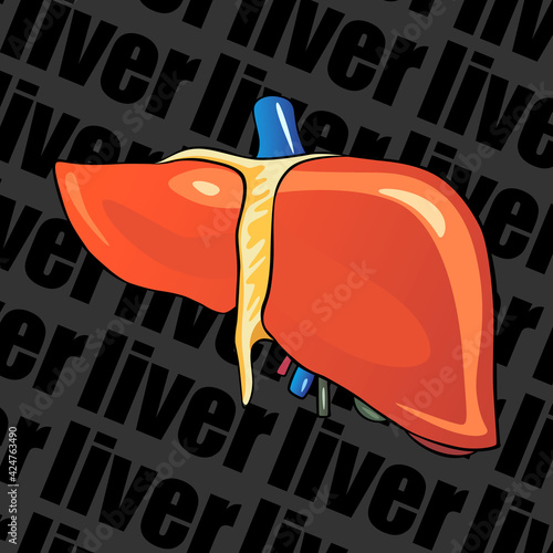 Image of a human organ for medical websites, flyers, posters, and more. Liver.