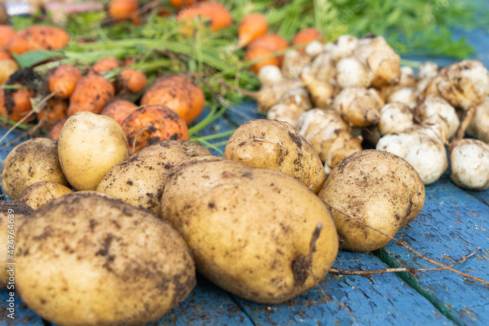 Freshly collected vegetables on the table. Freshly collected vegetables on the table.
