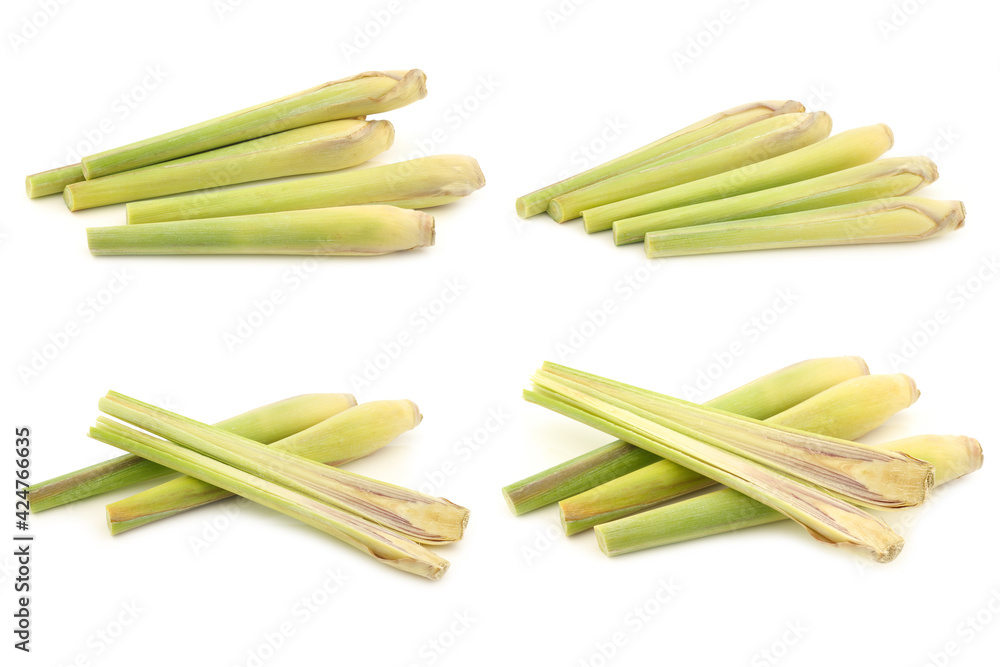 lemon grass (Cymbopogon citratus) and some cut ones on a white background lemon grass (Cymbopogon citratus) and some cut ones on a white background