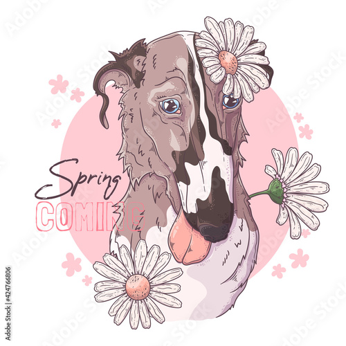 Hand drawn Borzoi dog with flowers Vector. Isolated objects for your design. Each object can be changed and moved.