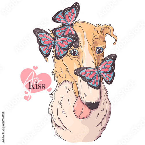 Fototapeta Naklejka Na Ścianę i Meble -  Hand drawn Borzoi dog with butterflies Vector. Isolated objects for your design. Each object can be changed and moved.