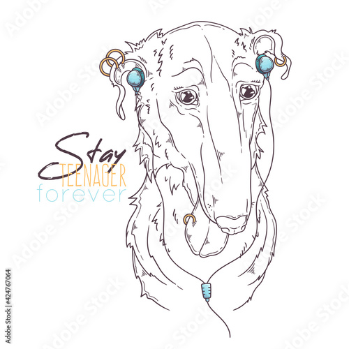 Hand drawn Borzoi dog portrait with accessories Vector. Isolated objects for your design. Each object can be changed and moved.