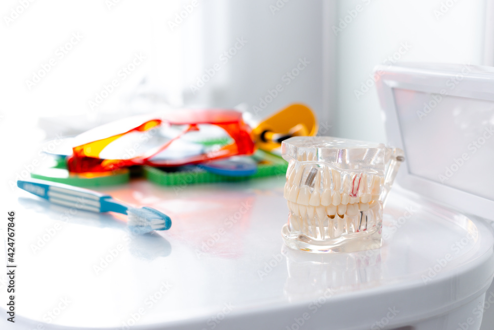 Jaw mockup and toothbrush on the table Jaw mockup and toothbrush on the table