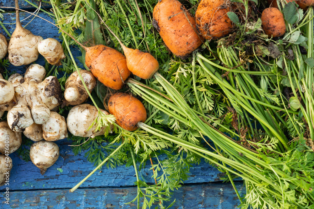 Freshly collected vegetables on the table. Freshly collected vegetables on the table.
