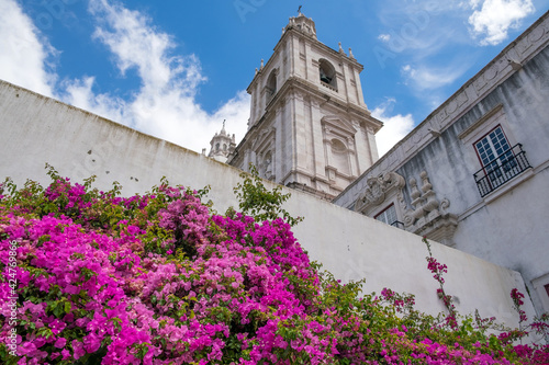 Flowers on background view in Pantheon and the Aflama, Lisbon the old city center.