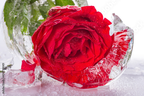 rose inside an ice