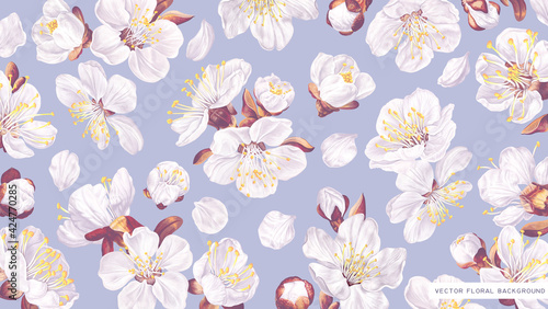 Floral wallpaper for screen desktop on computers, laptops and tablets. Realistic flowers in pastel colors, background for banners, covers and posts in social networks. Vector sakura on blue background