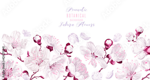 Vector horizontal border with white and pink sakura flowers isolated on white background. Spring theme background, vector, realistic botanical floral design. Greeting, invitation card.