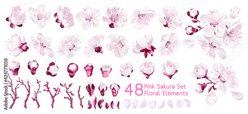 Big set of spring vector flowers. Realistic pink with white sakura. Single flowers, petals, twigs and two flower arrangements. Easy to edit and customize for your design