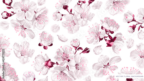 Wallpaper with spring cherry flowers. White pink, vector, realistic, hand-drawn plants on white background for your design, wallpapers for desktop on computers, tablets , labels, advertising banners