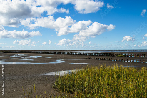 Weltnaturerbe Wattenmeer