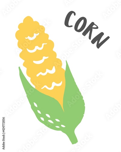 Set of 2 corn cobs hand painted with ink brush