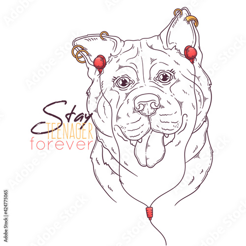 Hand drawn akita dog with headphones and piercings Vector. Isolated objects for your design. Each object can be changed and moved.