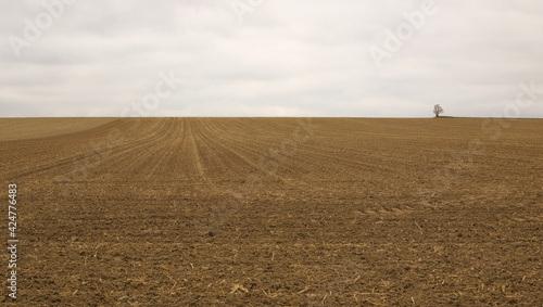 Ausgeräumte Ackerfläche, Deutschland, Europa