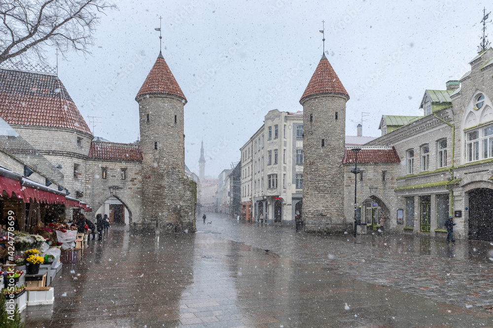 snow storm in old Tallinn