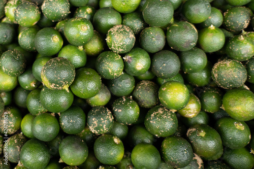 Philippine green lime