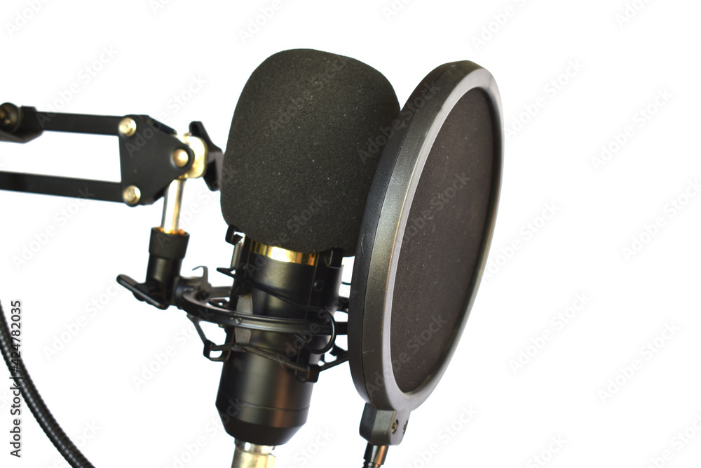 microphone and headphones microphone and headphones