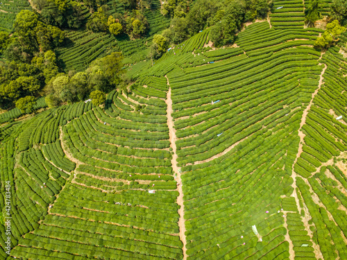 Aerial photography of Hangzhou West Lake Longjing Tea Mountain photo