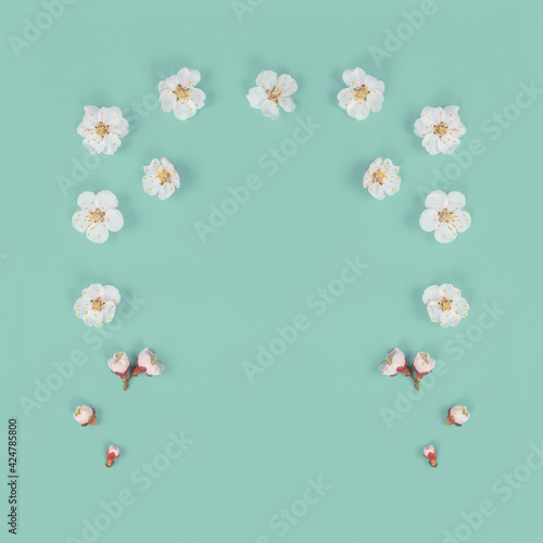 Fresh spring flowers on  green paper background.